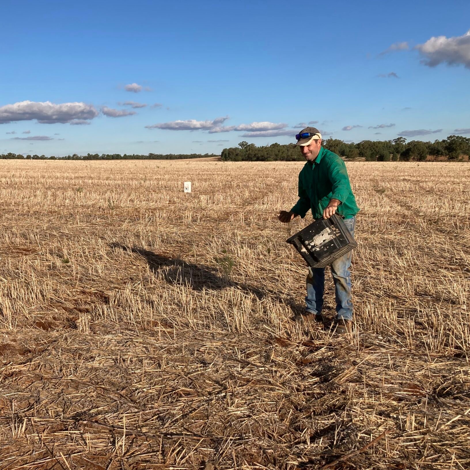 GRDC National Risk Management Initiative (NRMI) NSW - Action Research Group (ARG) Nitrogen Management Systems Trial - Zone 3 »
