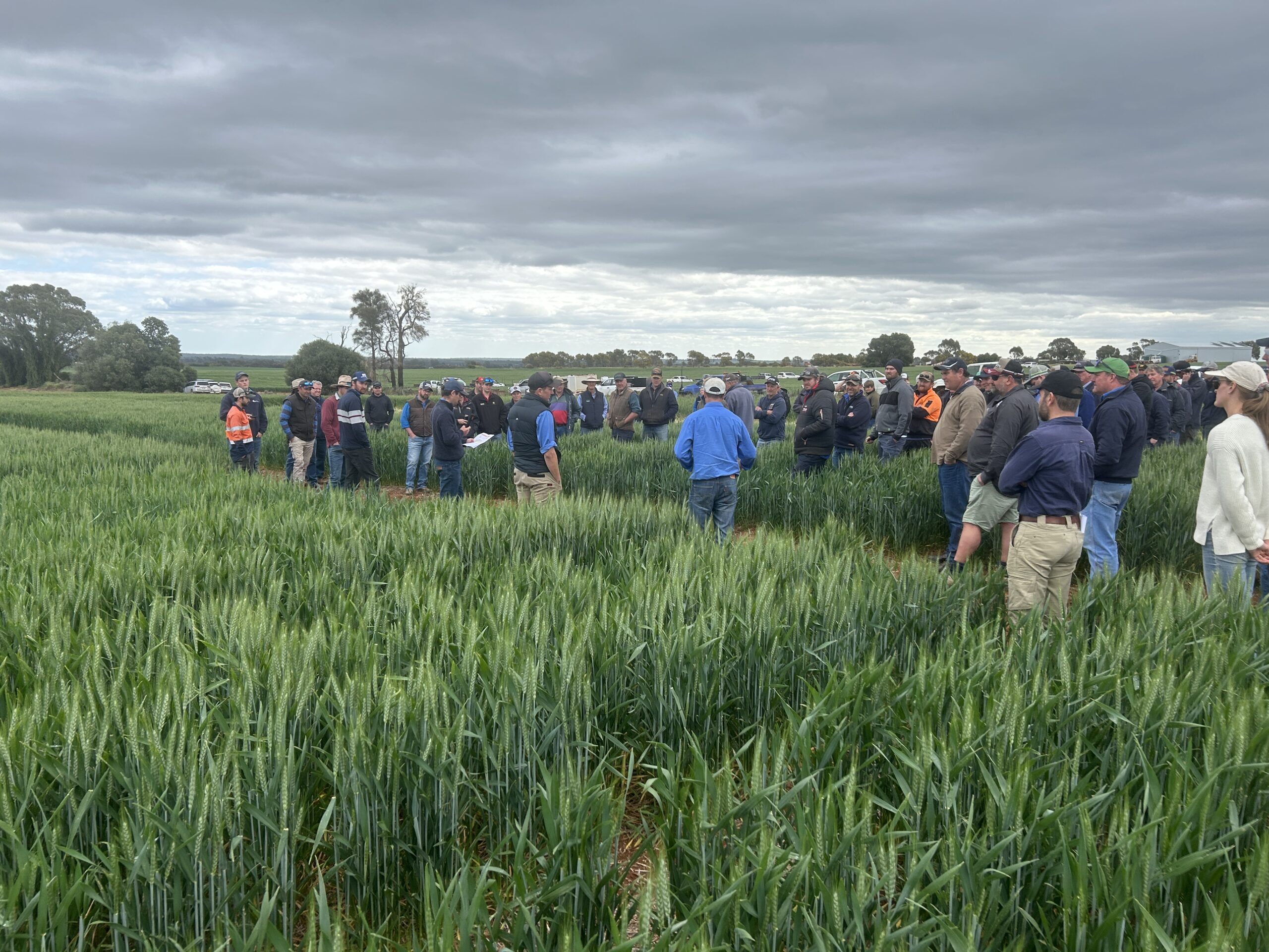 RiskWi$e Project - Theme 2 Managing Phosphorus in the Farming System (Enterprise Agronomic Decisions) &raquo;